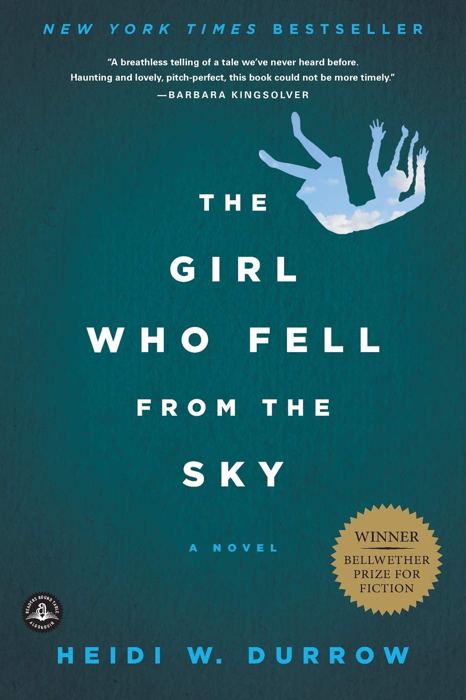 See the Girl Who Fell From the Sky in Library Catalog