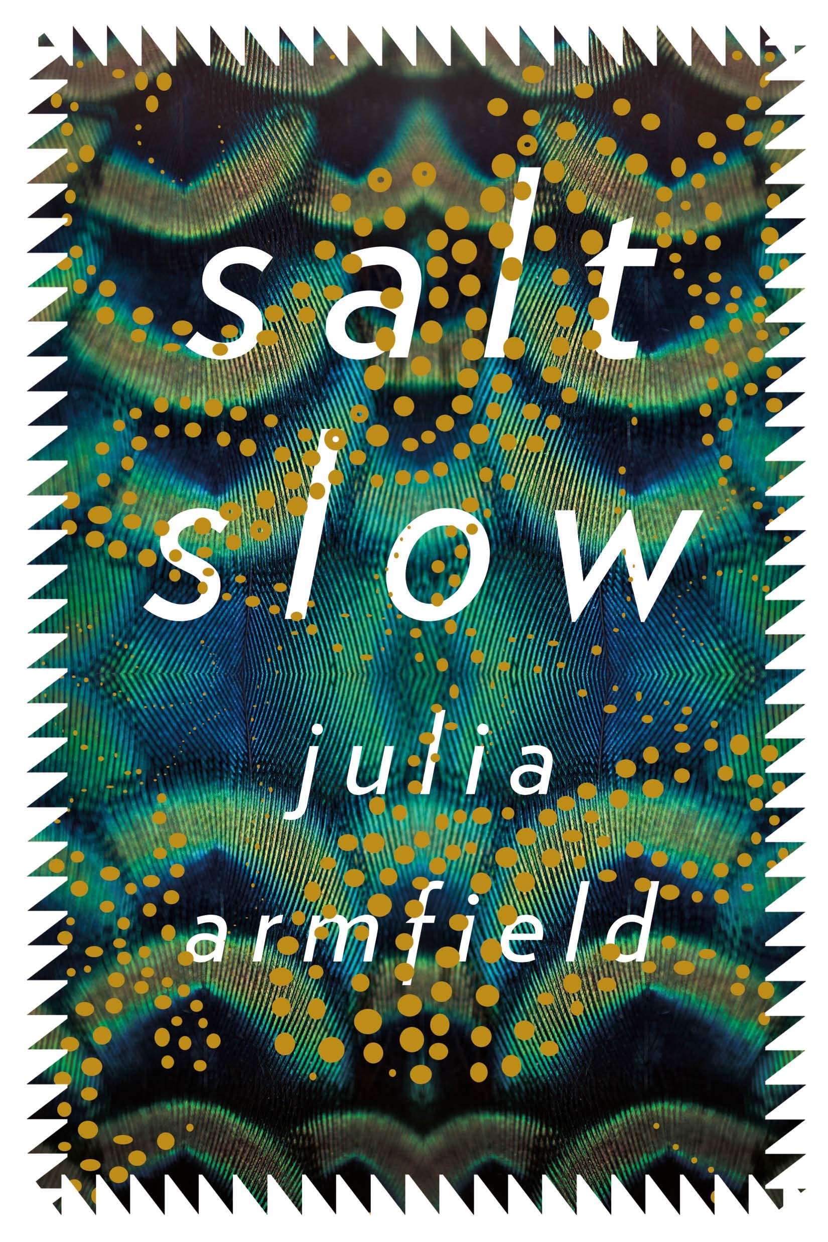 See Salt Slow in Library Catalog