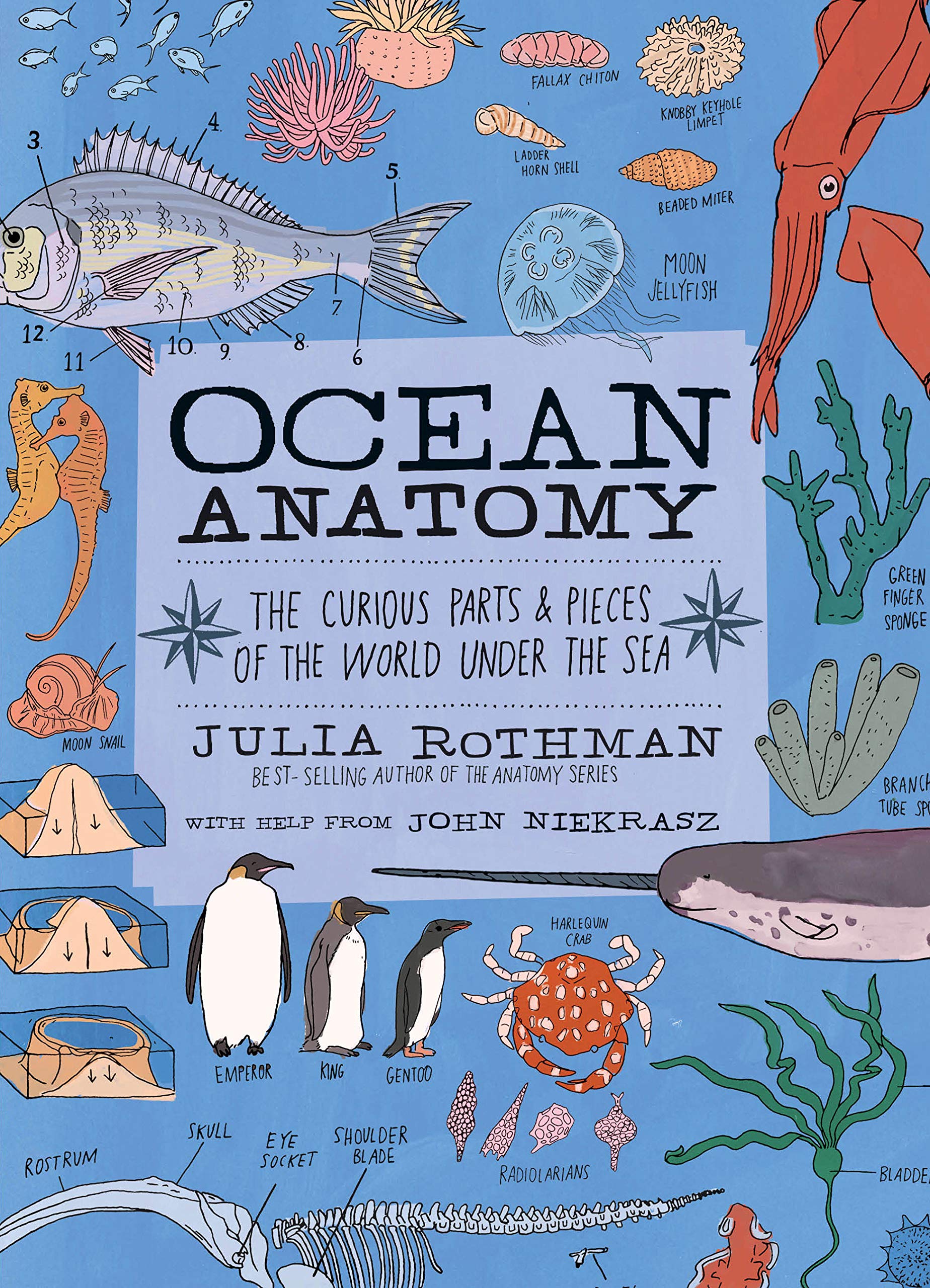 See Ocean Anatomy in Library Catalog