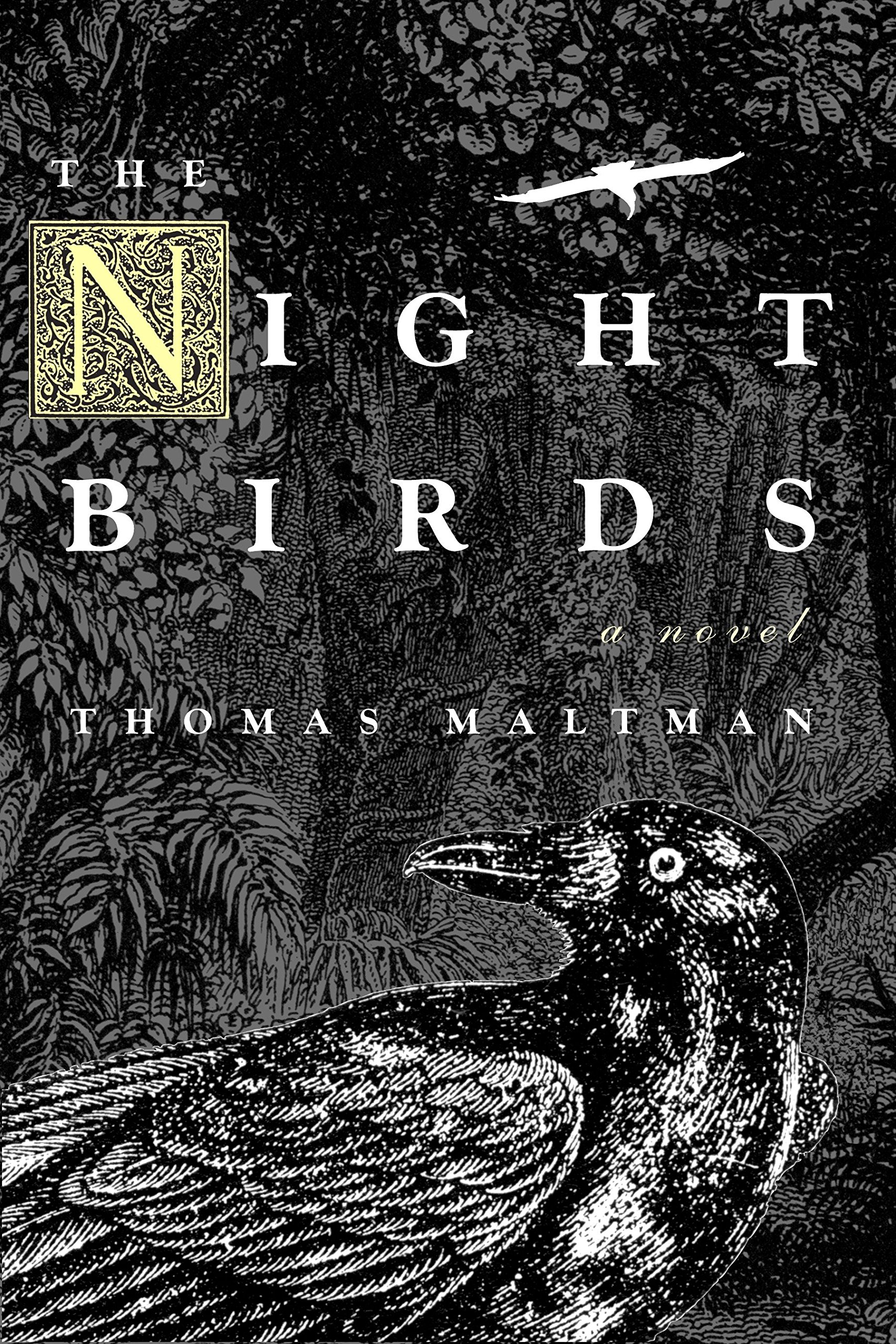 See The Night Birds in Library Catalog