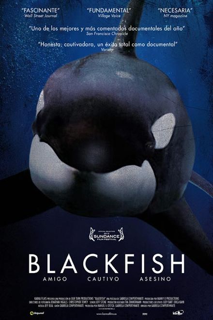 See Blackfish in Library Catalog