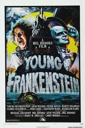 See Young Frankenstein in Library Catalog