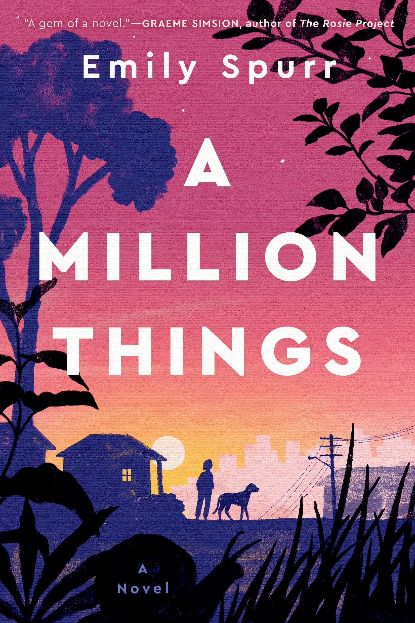 See A Million Things in Library Catalog
