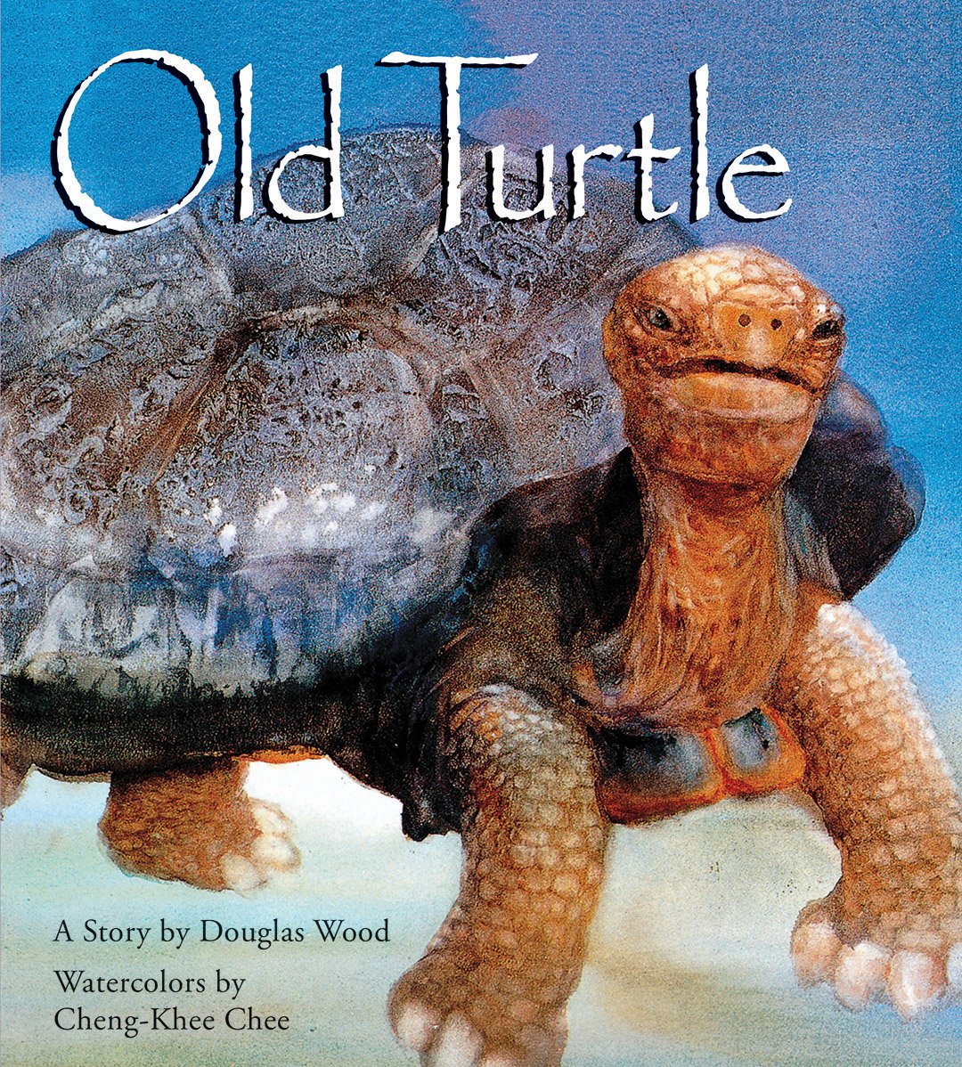 See Old Turtle in Library Catalog